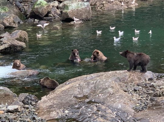 Discovery Journeys-朱诺必去景点