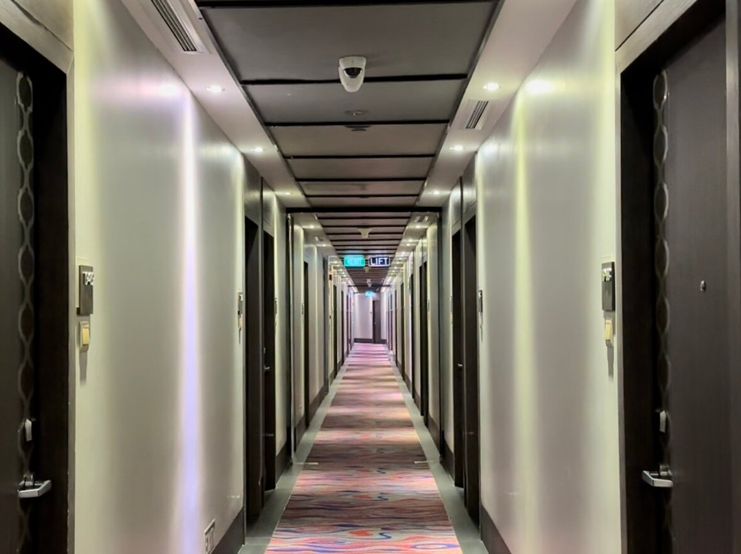 庄家大酒店主图