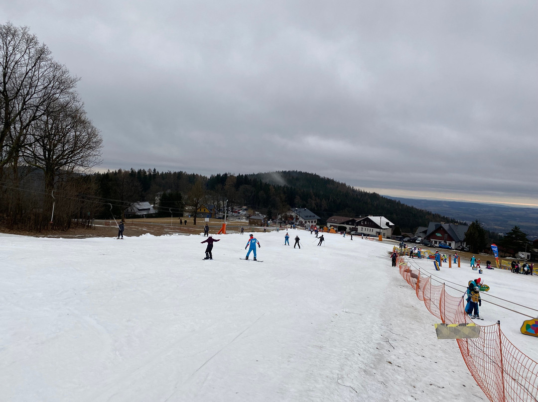 X Ski School景点图片
