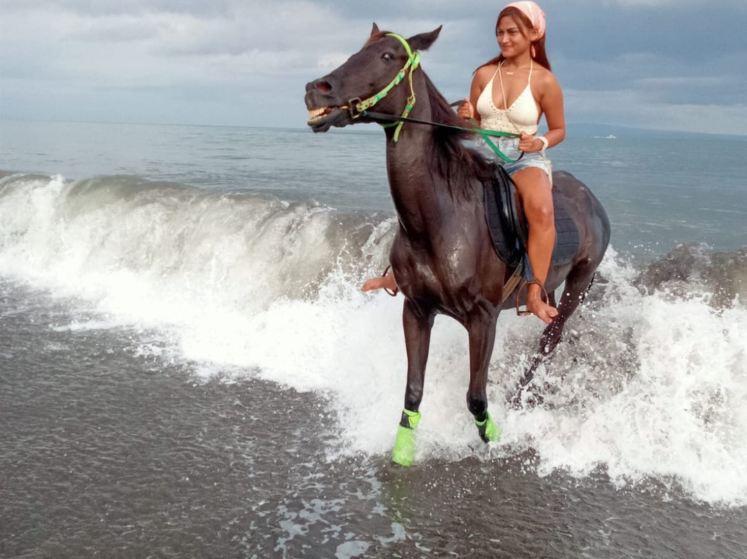 1 Hour bali horse riding & swim at padang galak beach景点图片