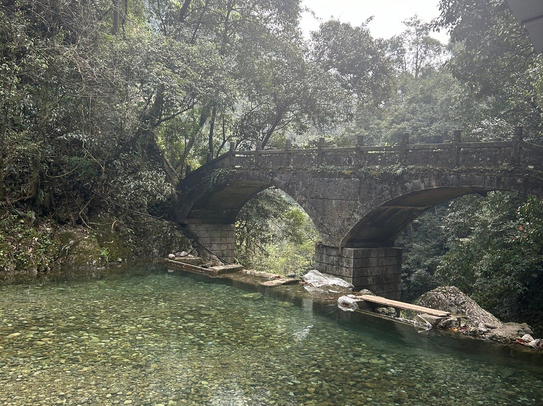 青城山后山 景点图片