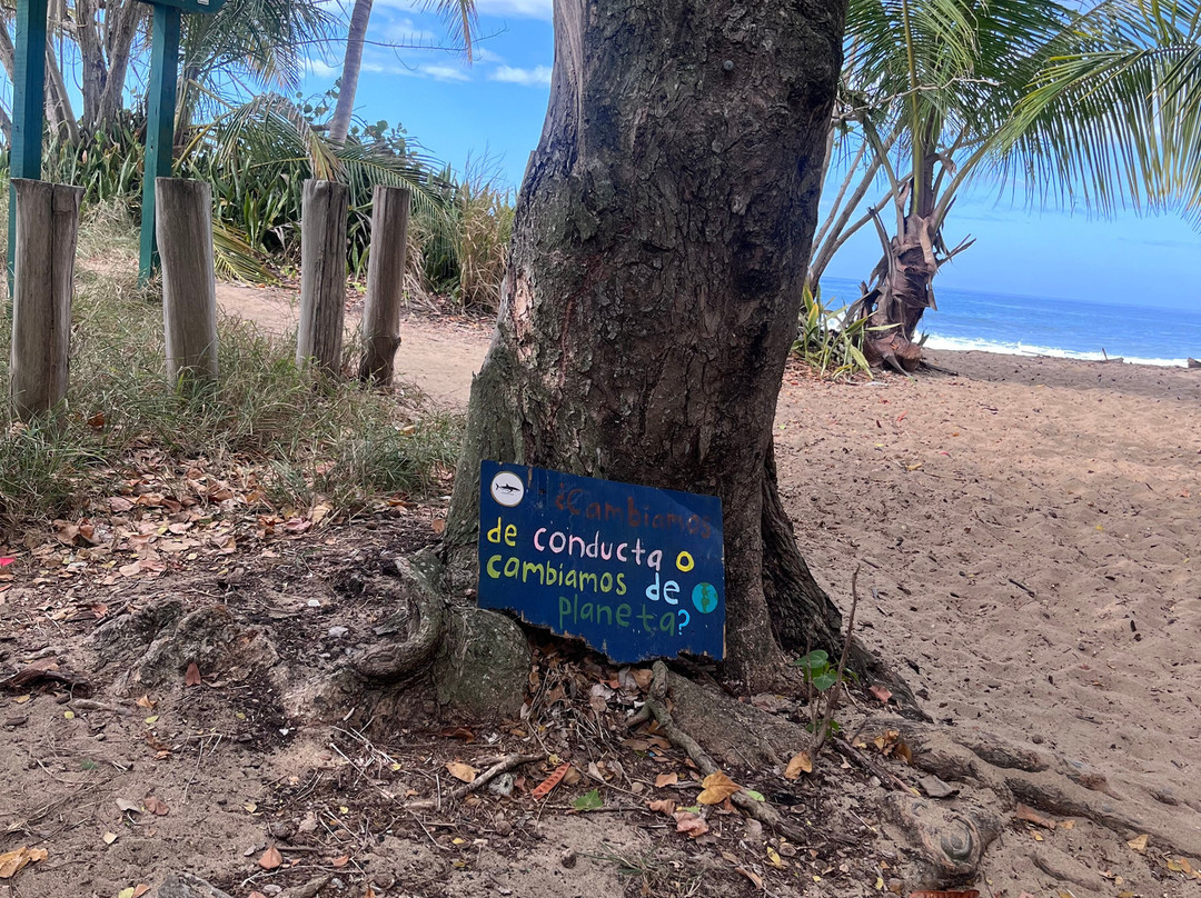 Steps Beach-吕康必去景点