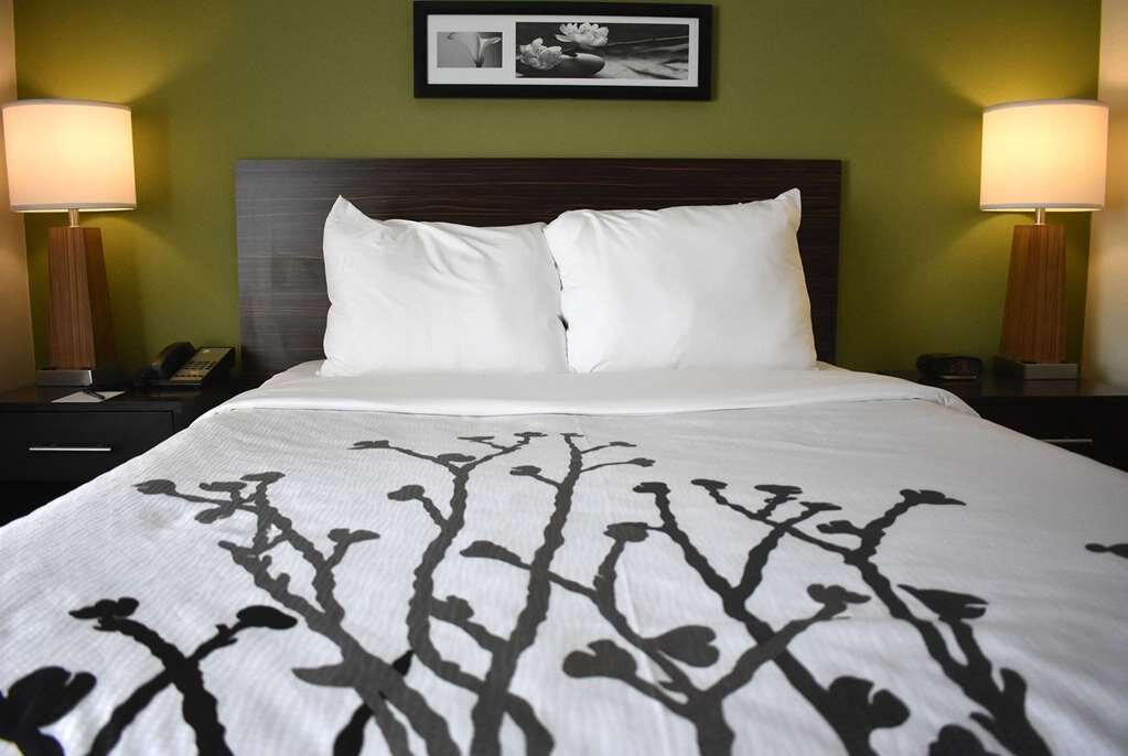 Wingate By Wyndham Salisbury主图