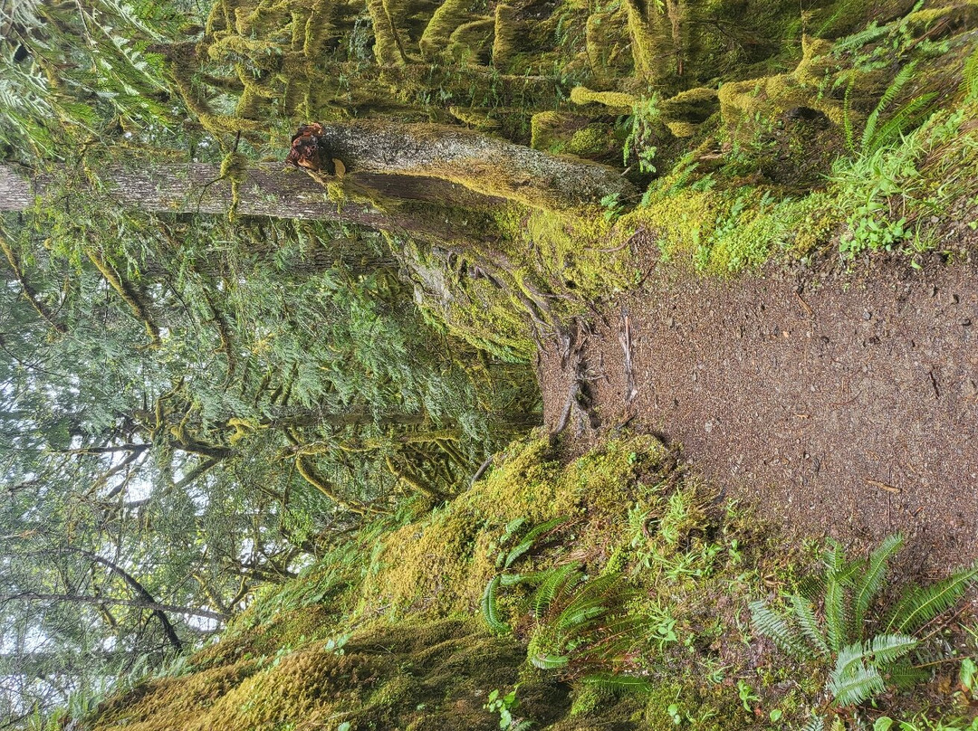 Salmon River Trail-Welches必去景点