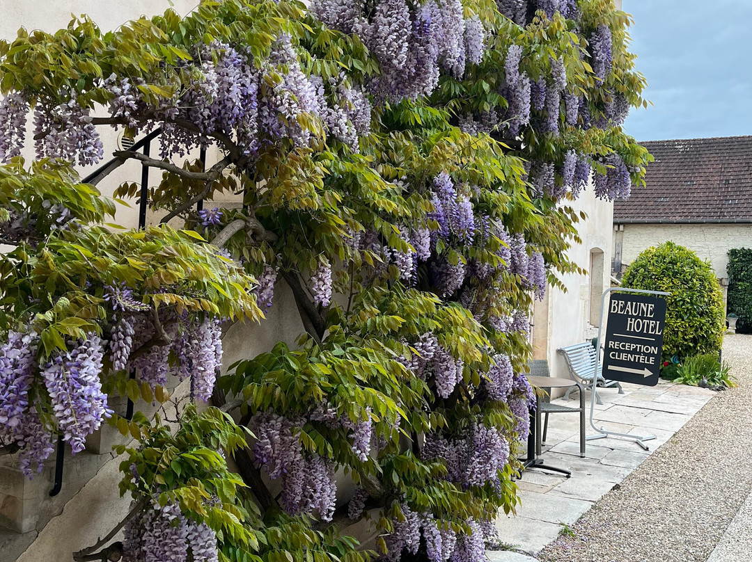 Beaune Hôtel主图