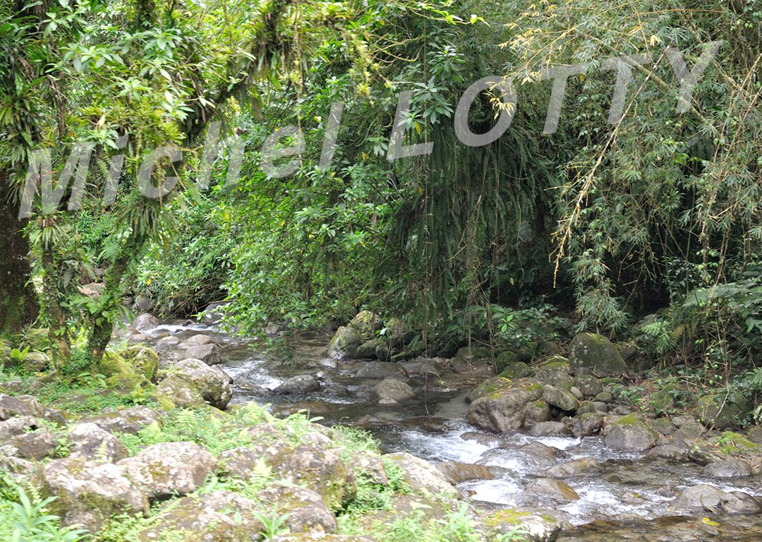 Pitons du Carbet-Arrondissement of Saint-Pierre必去景点