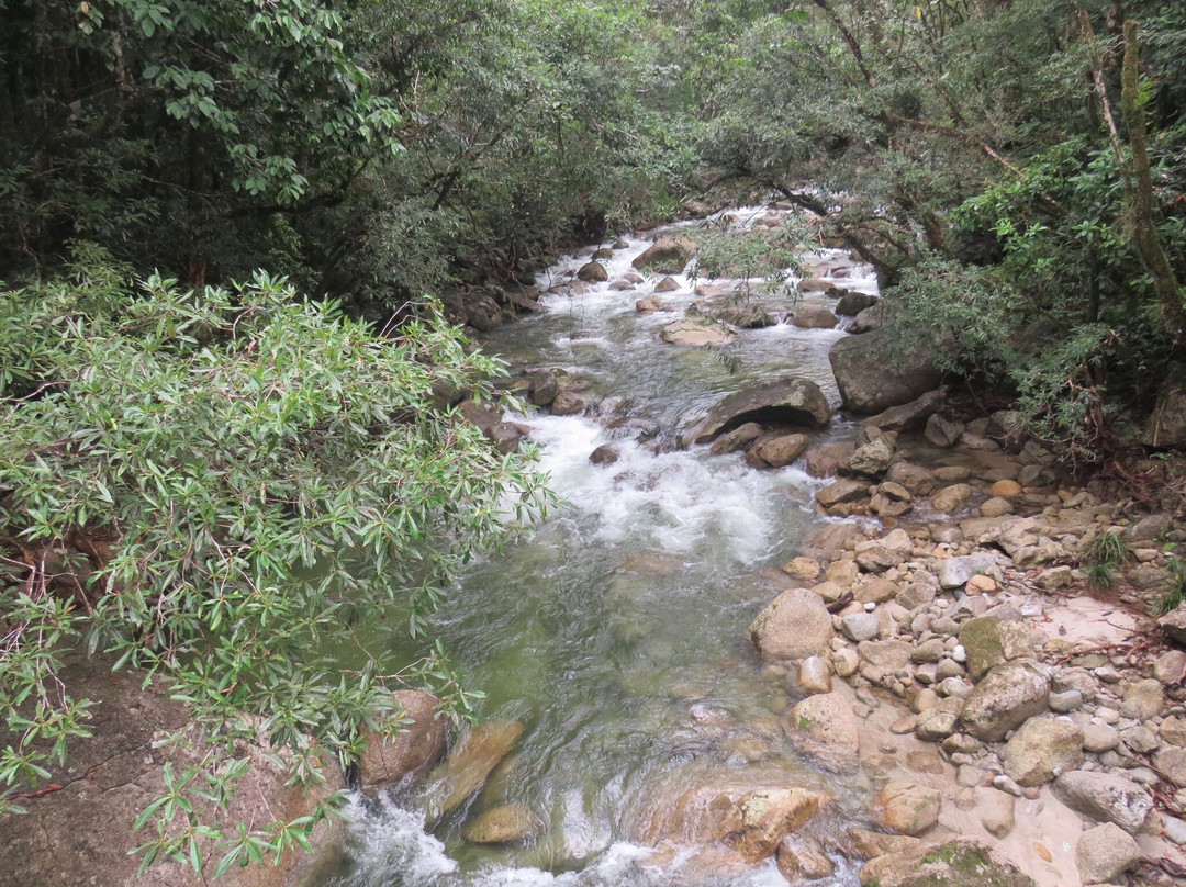 Walkabout Cultural Adventures-Mossman必去景点