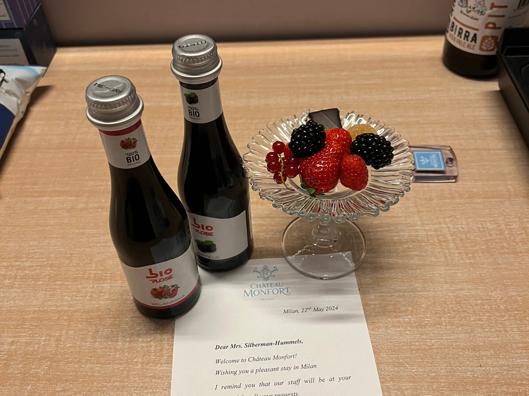 蒙福尔城堡酒店主图