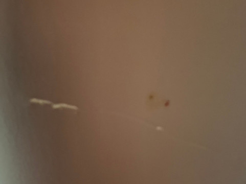 西罗亚斯普林斯速8酒店主图