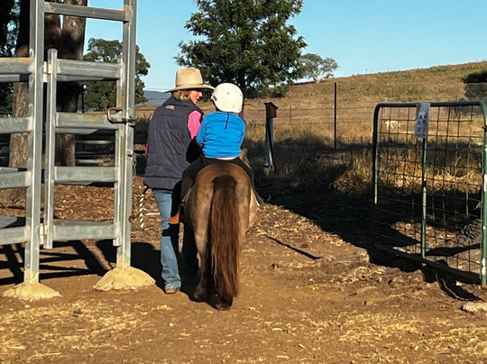 Alkoomi Adventure Farm-Marmor必去景点