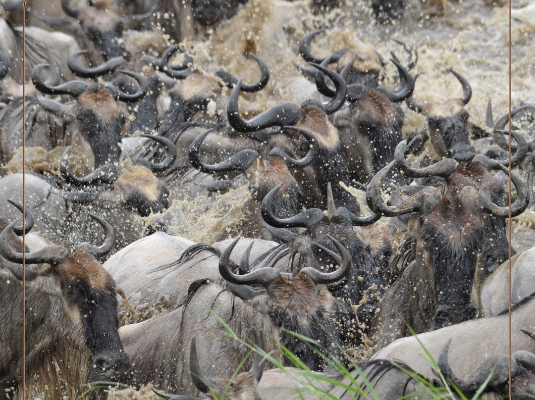 Leopard Tours Limited-阿鲁沙必去景点