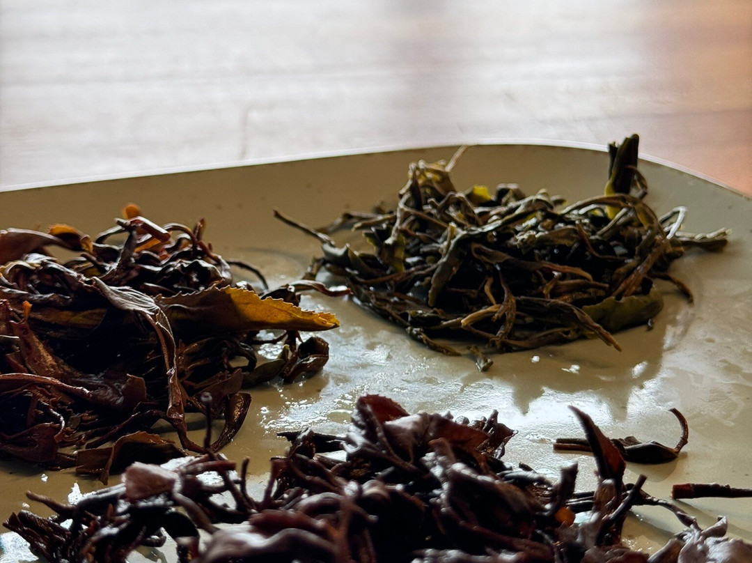 Renegade Tea Factory & Estate-库塔伊西必去景点