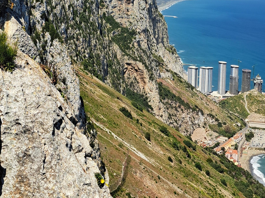 Douglas Lookout