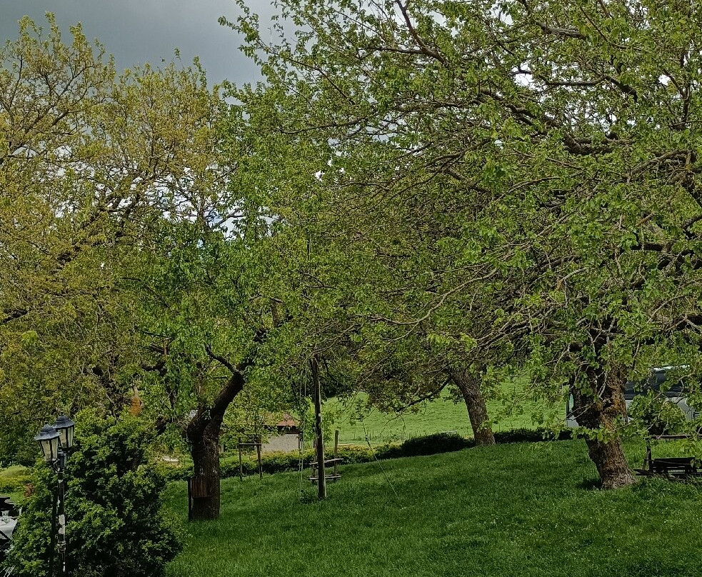 Masseria Salecchia主图