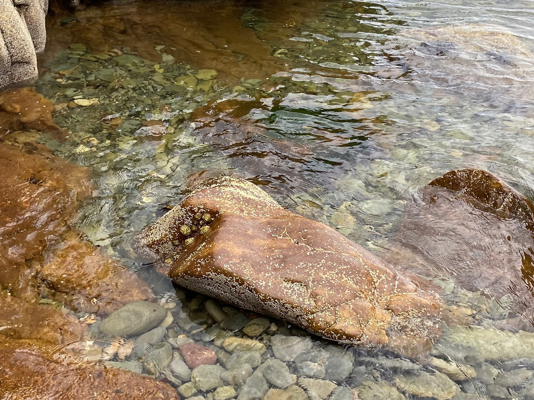 Ardmair Beach-阿勒浦必去景点