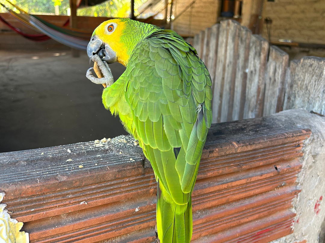 OFF Turismo - Ecoturismo no Jalapao-Porto Nacional必去景点