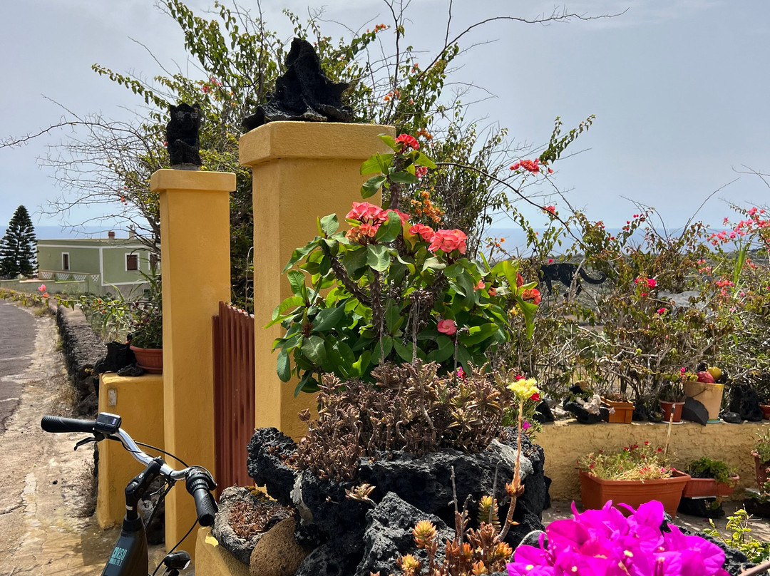 Summer Bike景点图片