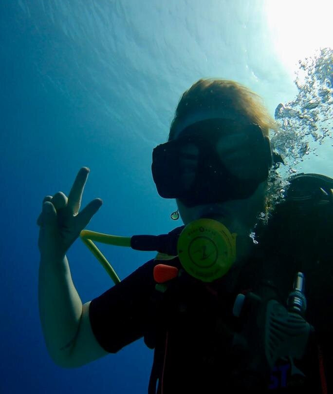 Shams Dive Centre-达哈卜必去景点