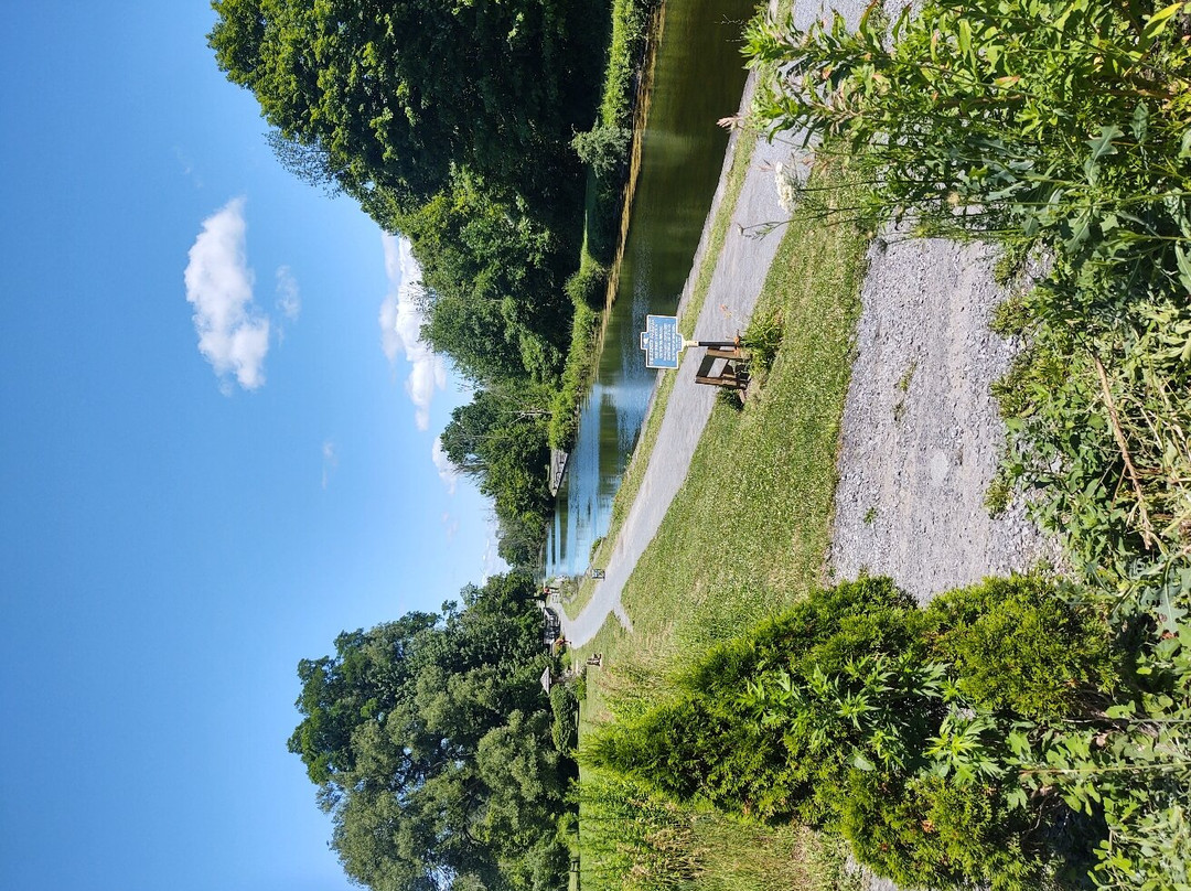 Camillus Erie Canal Park景点图片
