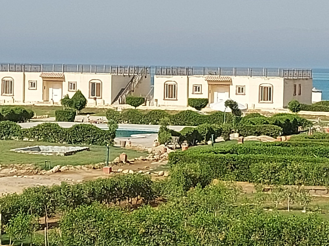 La Perla Resort Ras Sudr