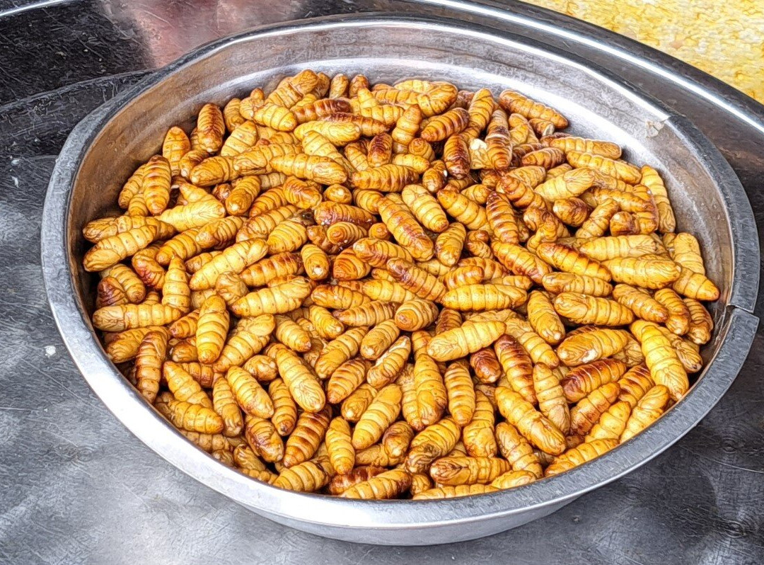 Hoi An Market-会安必去景点