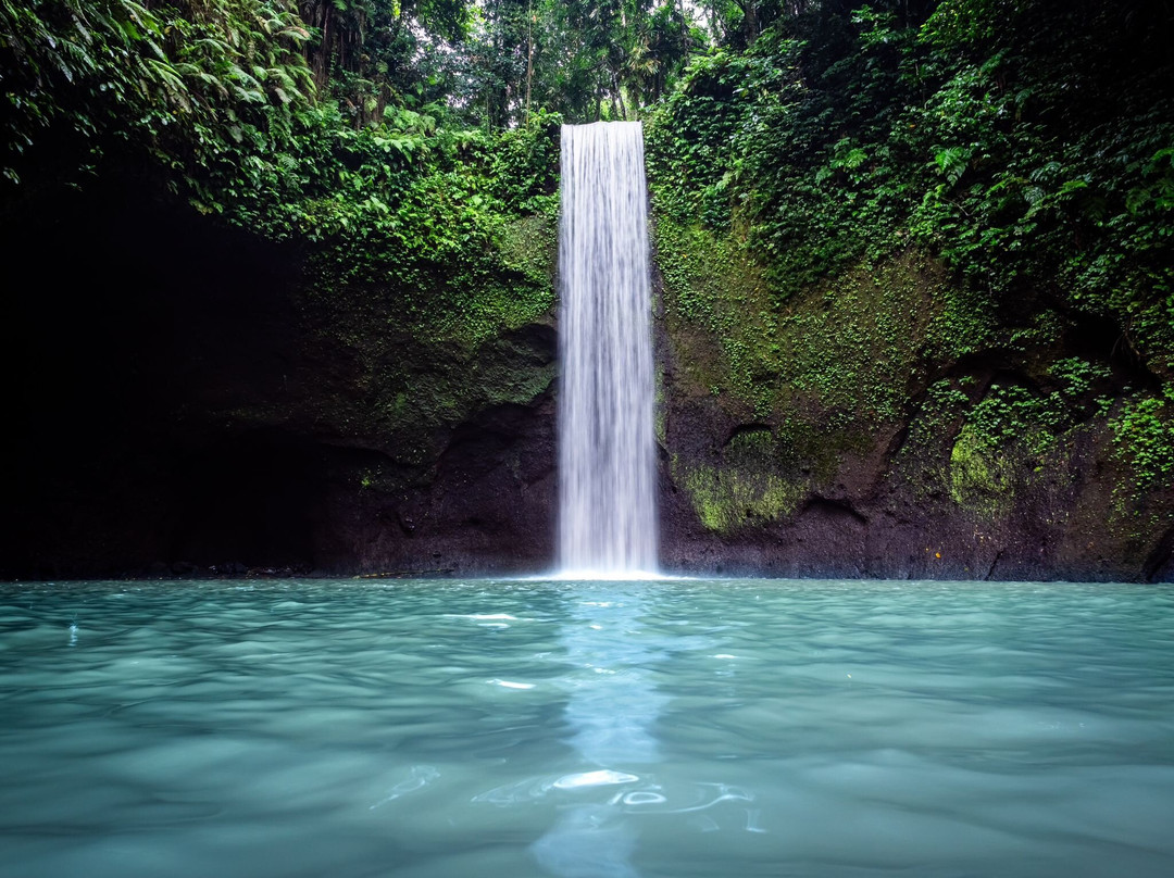 Amara Bali Family Tour-乌布必去景点