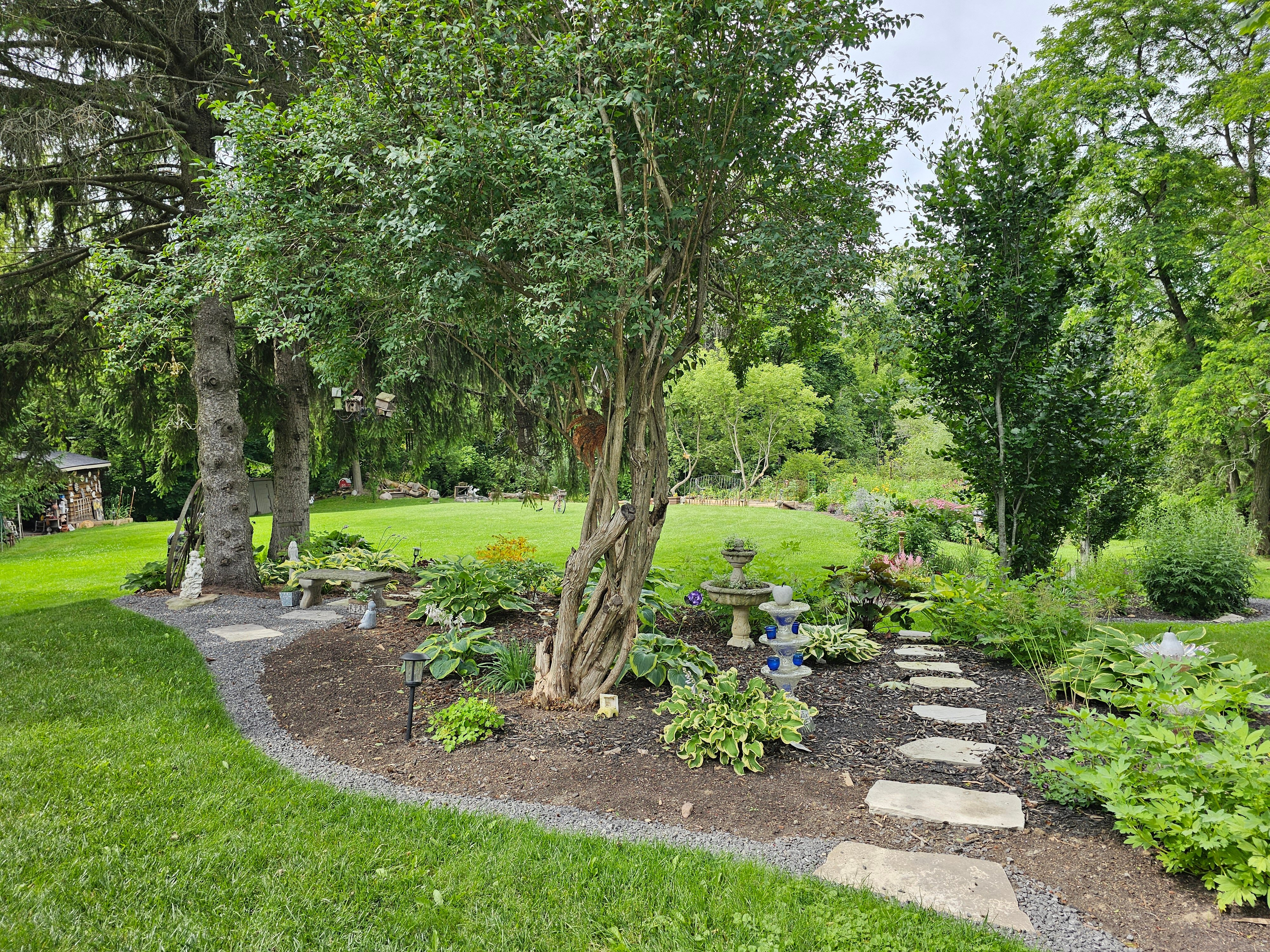 Runaway Rooster-酒店景观