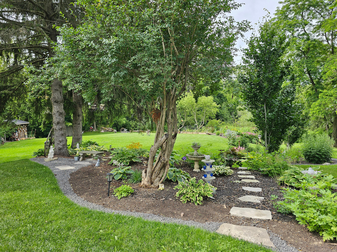 Runaway Rooster主图