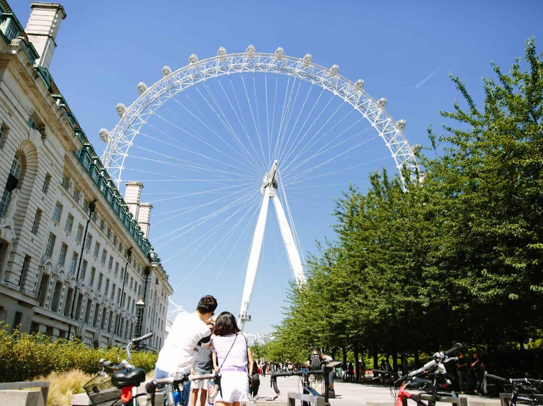Kingfisher Tours UK