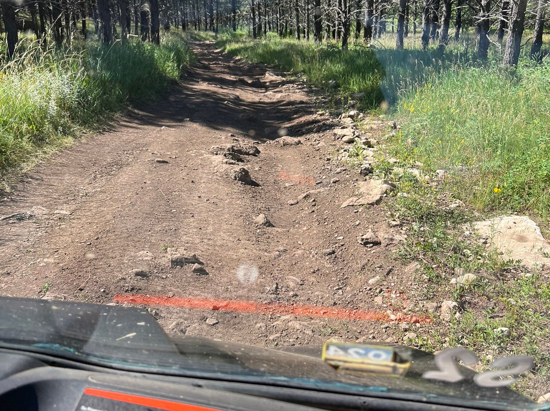 Black Hills Wilderness Edge-基斯通必去景点