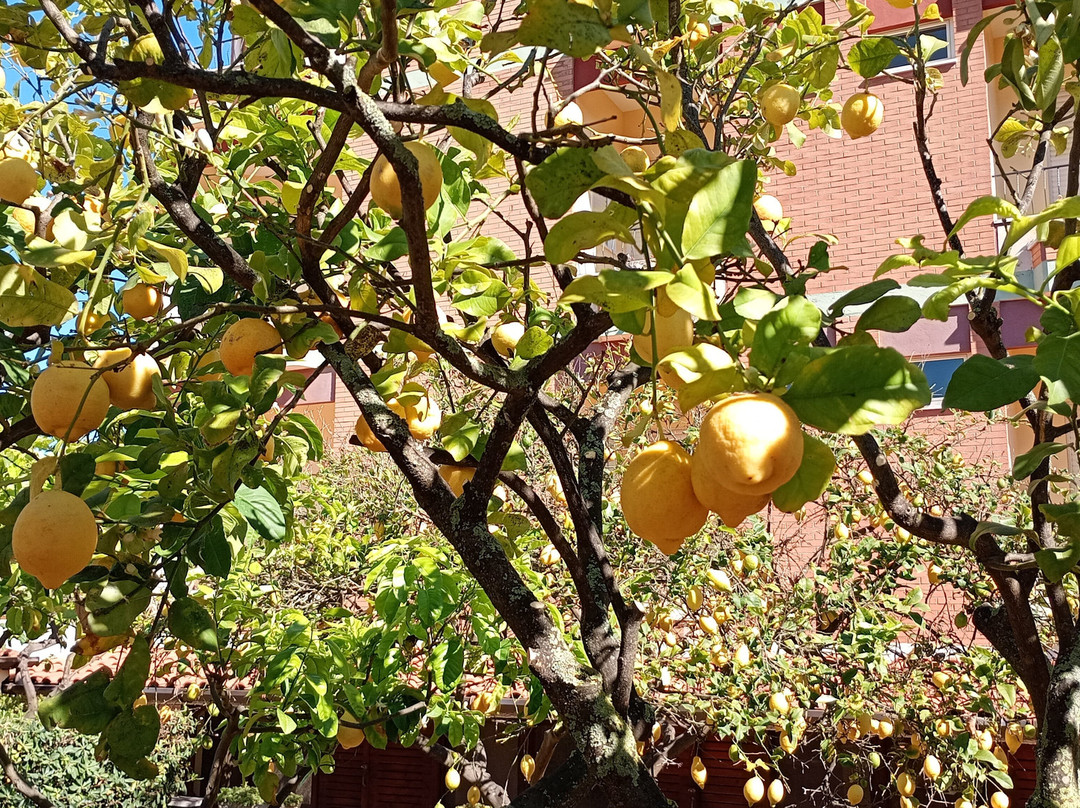 Hotel Casa Yvorio主图