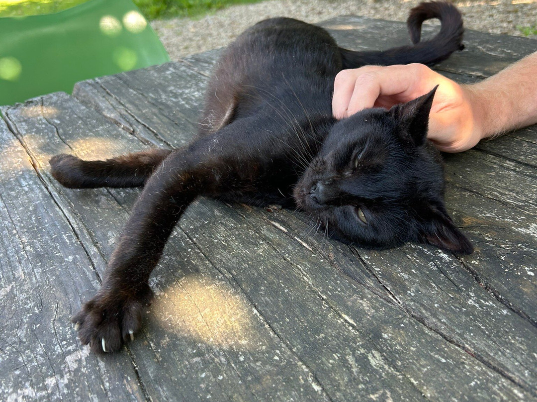 Les Fous du Village主图