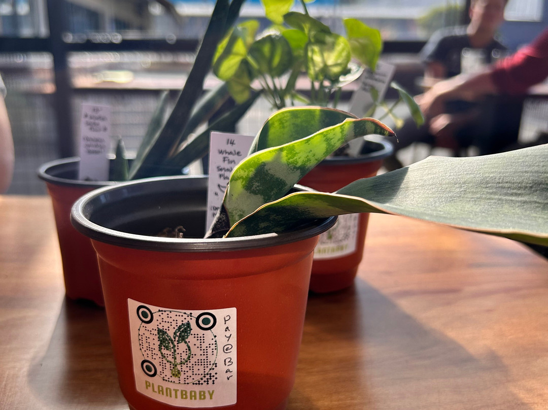 Flying Lion Brewing-西雅图必去景点