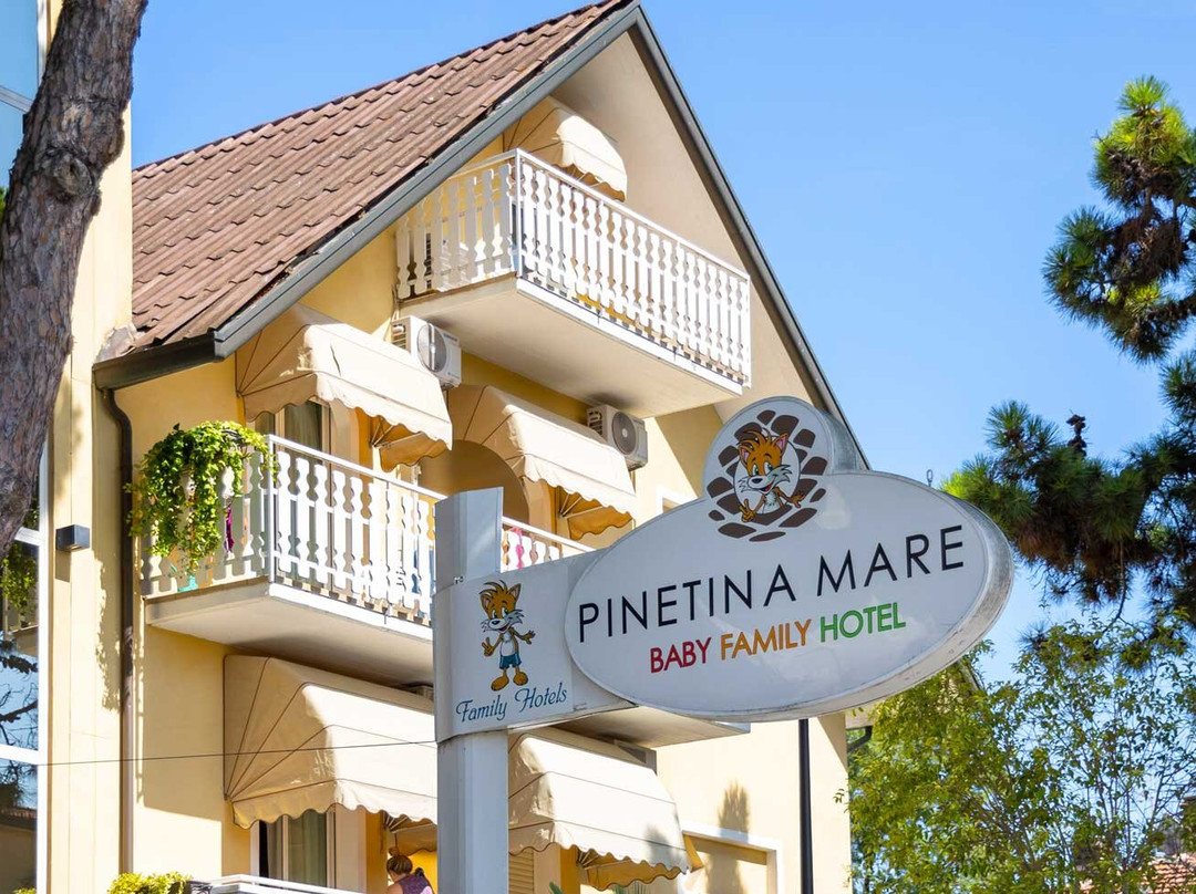 Pinetina Mare Baby Family Hotel主图