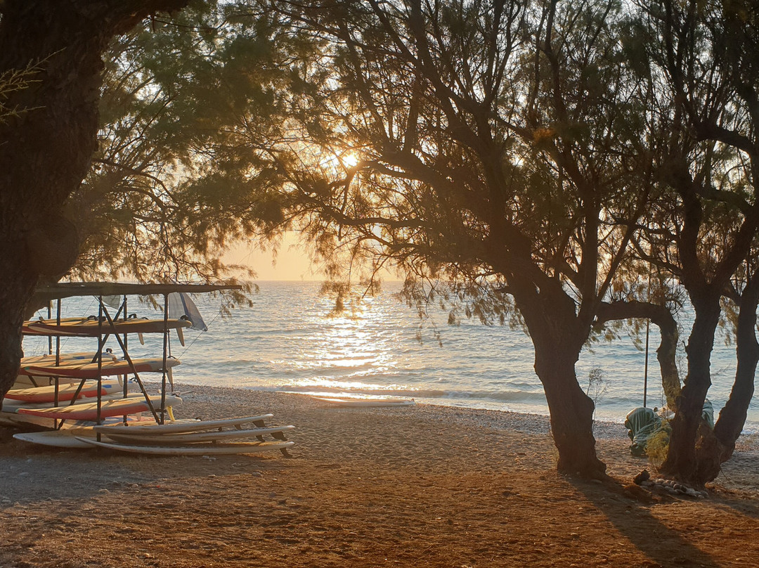 Sunlight Studios Pool Bar & Restaurant主图