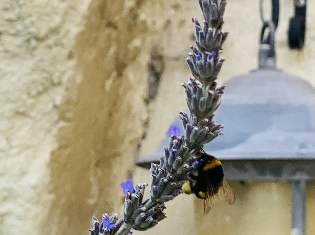 Les Troglos De Beaulieu主图