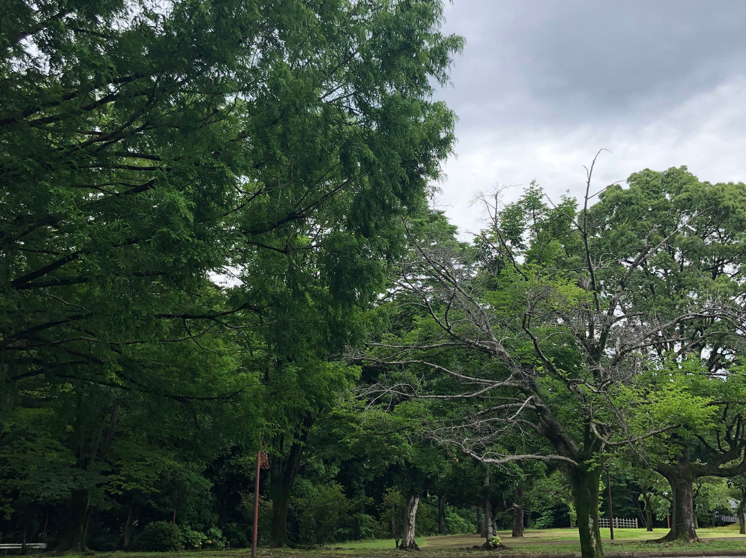 National Women's Education Center主图