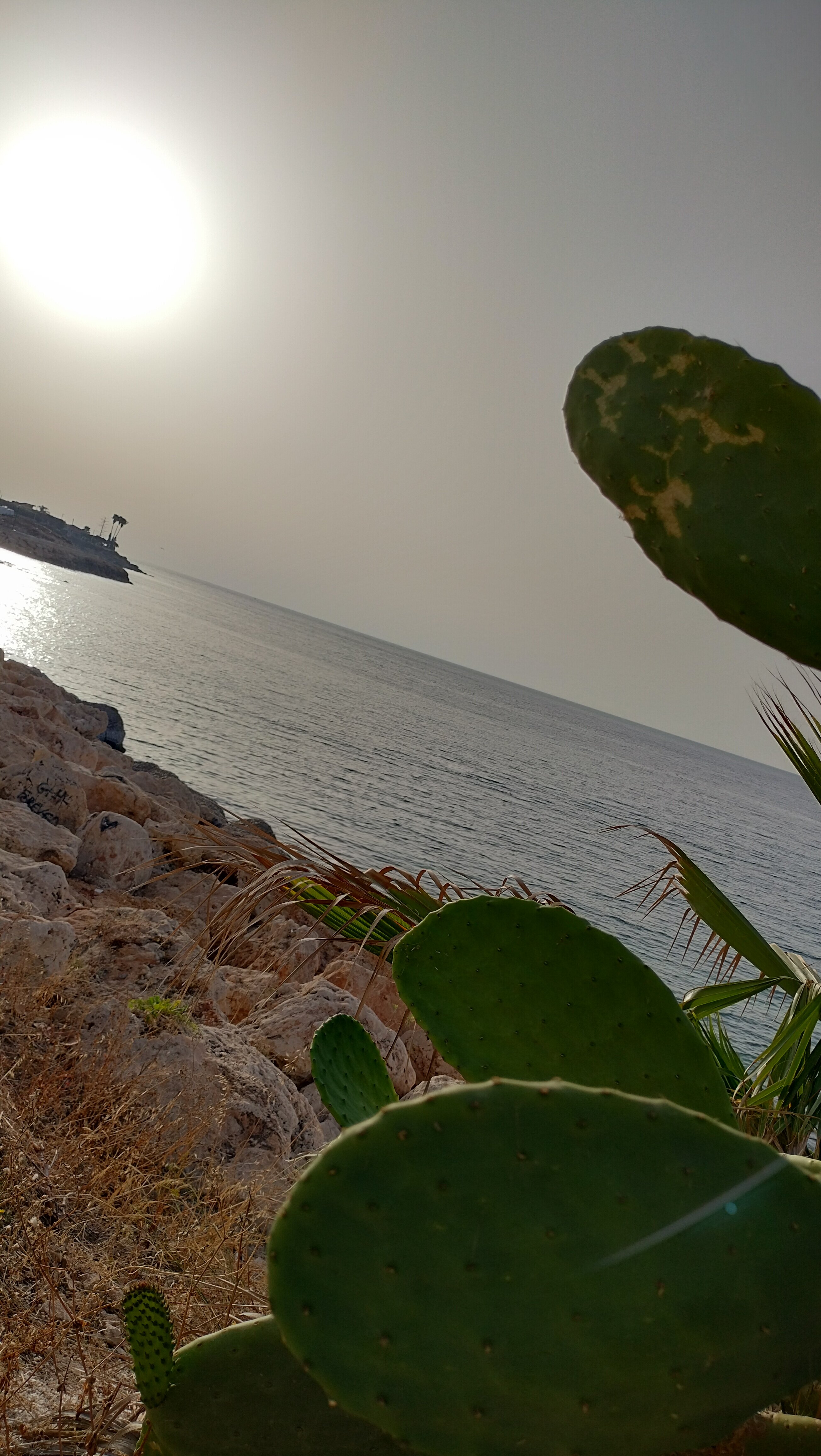 Mare E Sole Villa Urso-官方