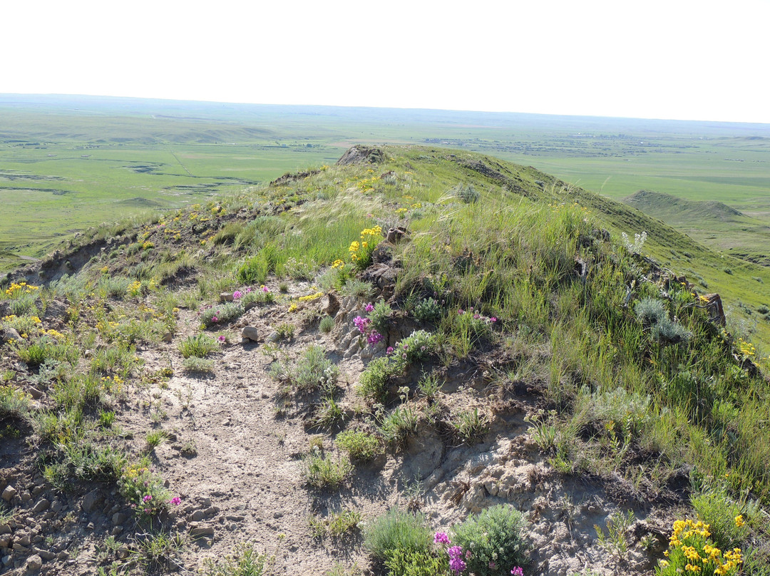 Sky Story Bed & Breakfast主图