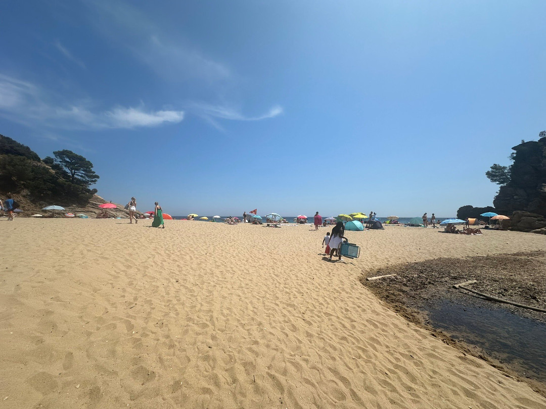Plage de Bonporteau-Cavalaire-Sur-Mer必去景点