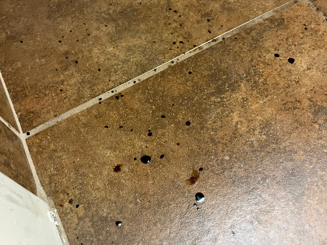 Pleasant Night Inn - Fort Drum主图