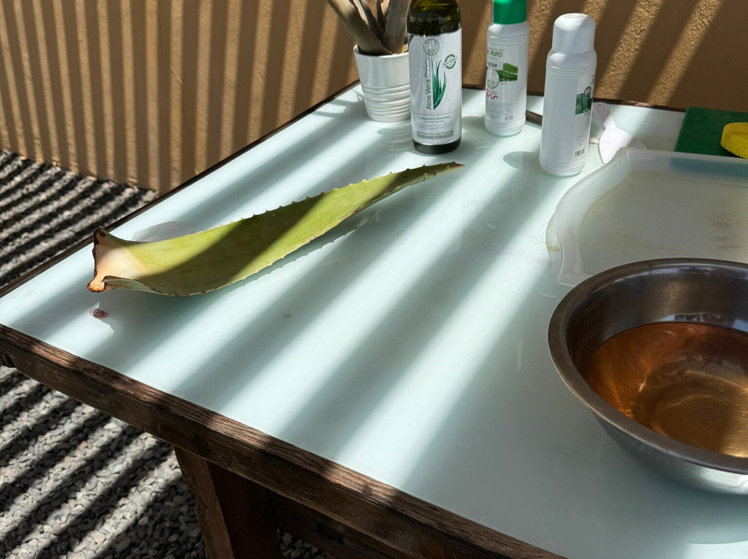 Finca Canarias Aloe Vera景点图片