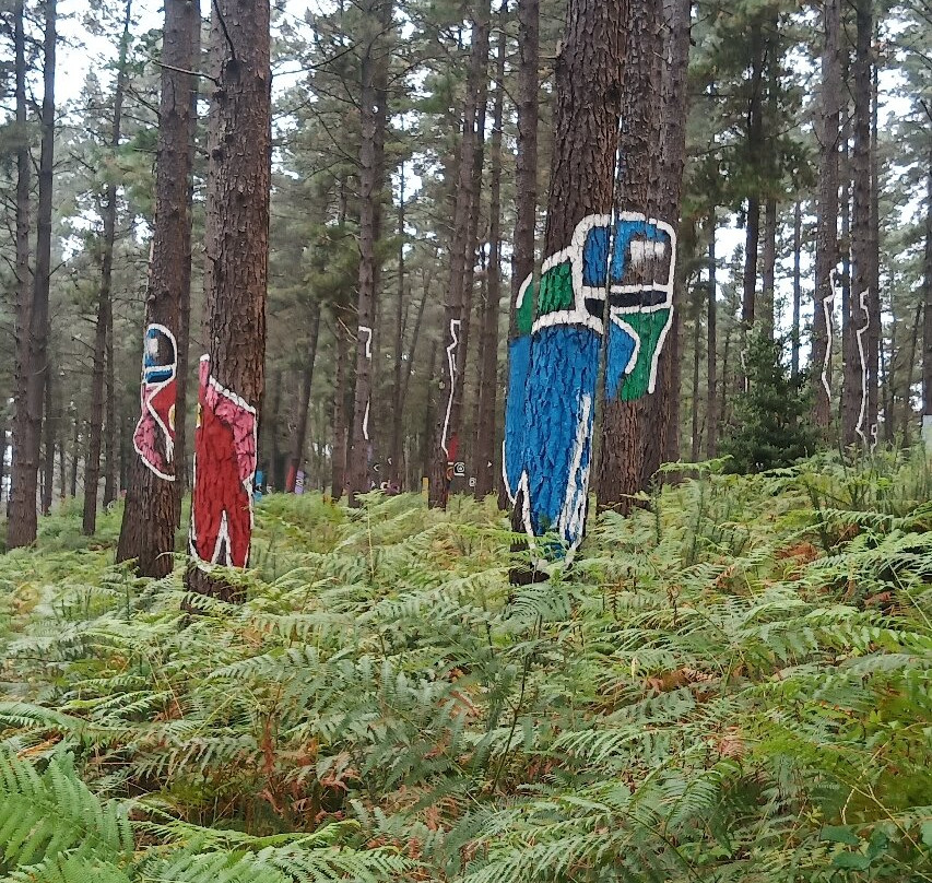 Bosque De Oma景点图片