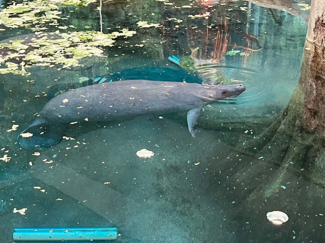The Bishop Museum Of Science And Nature-布雷登顿必去景点