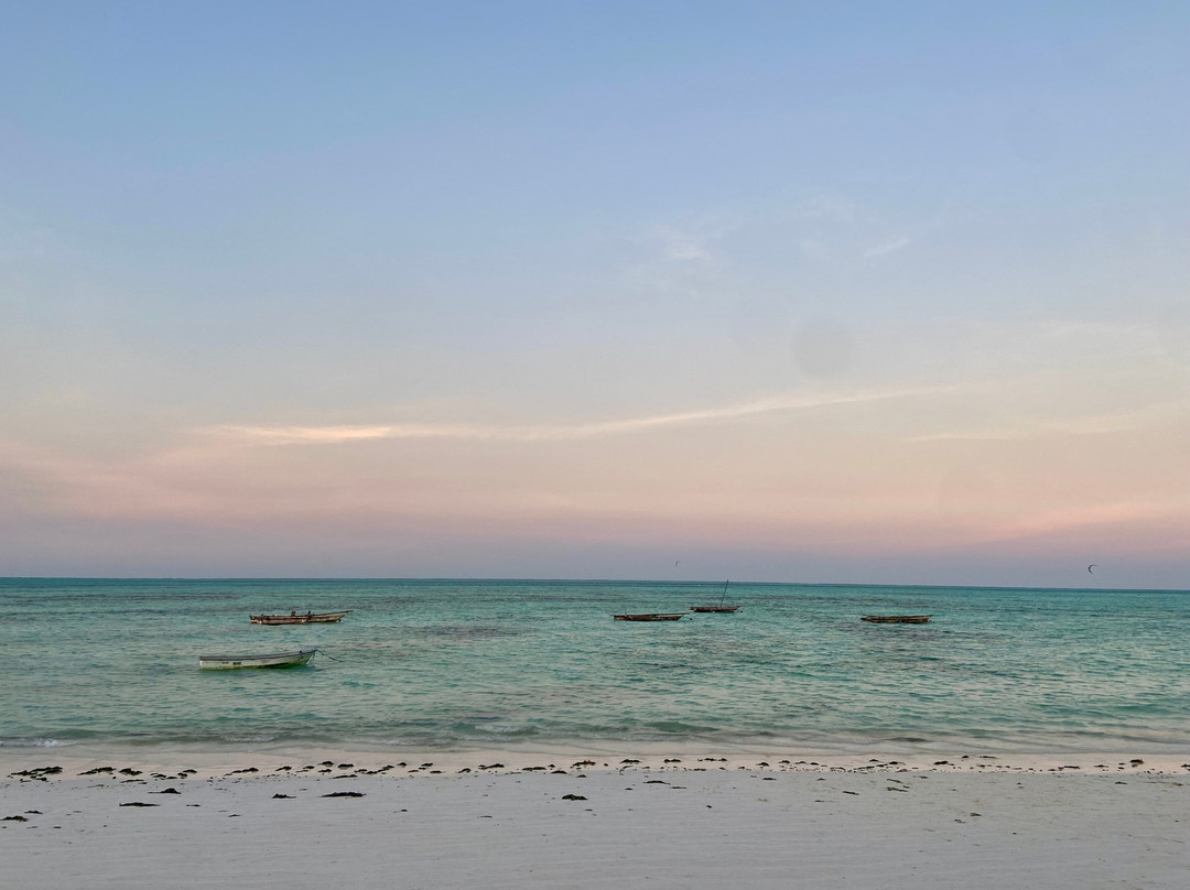 Zanzibar ProKite-江比阿尼必去景点