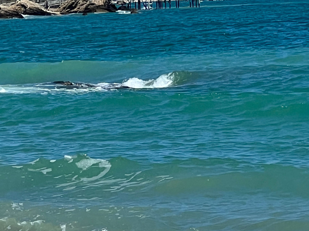 Spiaggia di San Nicola景点图片