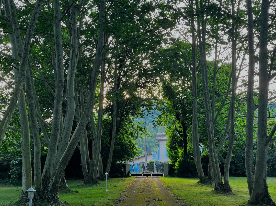 Domaine La Gazaille De Camille主图