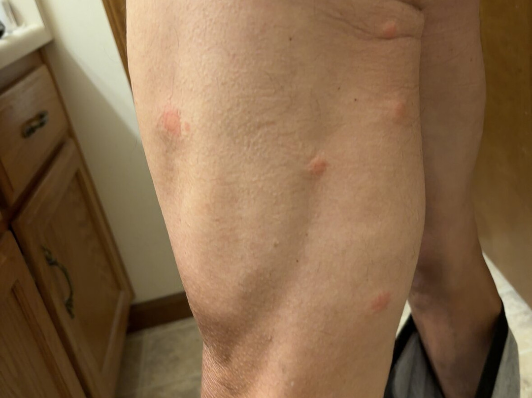 Red Roof Inn Winchester - Lexington East主图