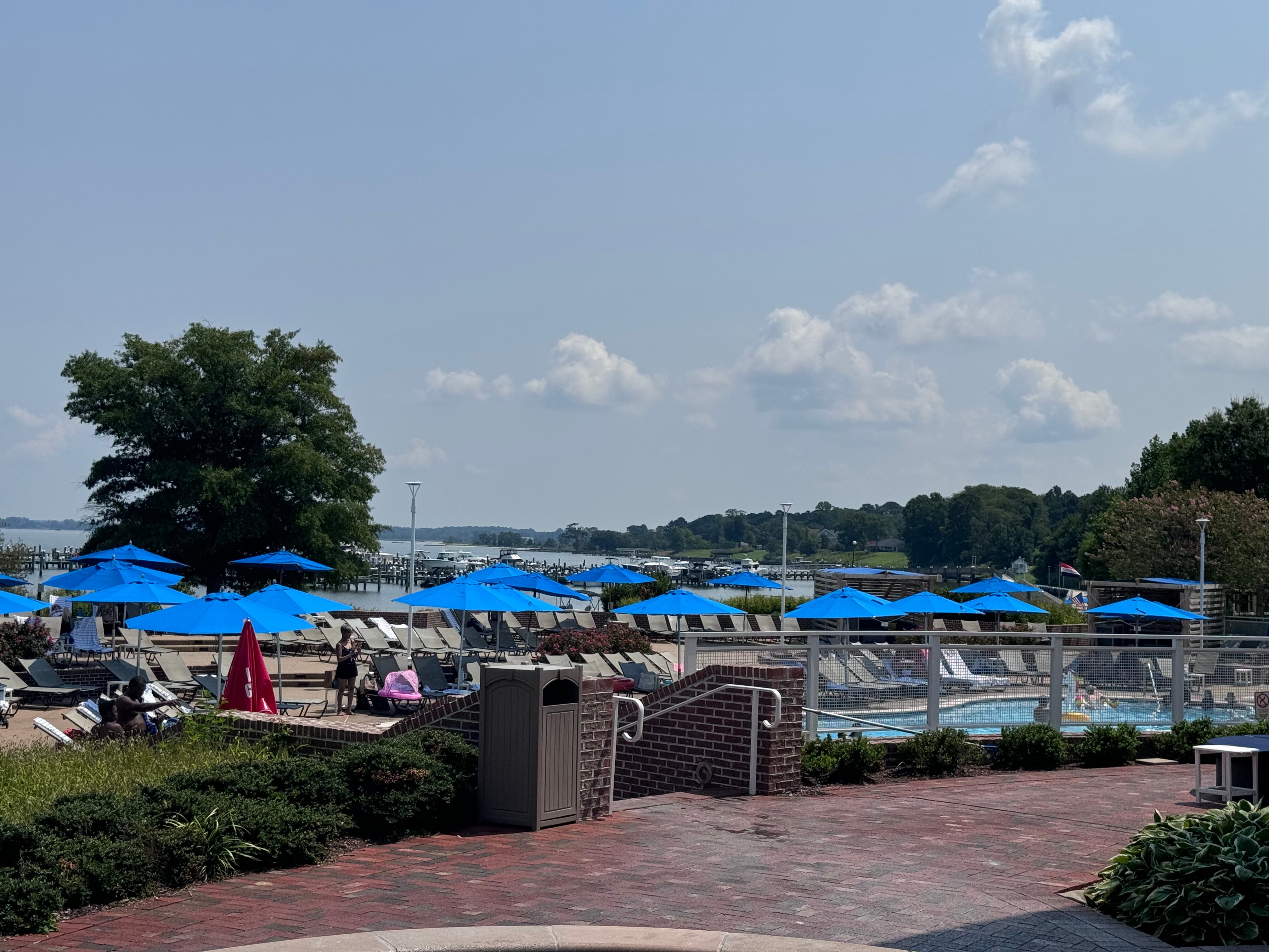 Hyatt Regency Chesapeake Bay Golf Resort, Spa & Marina-泳池