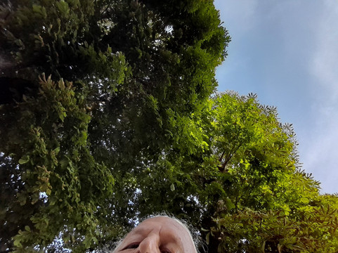 Terra Sarda Ristorante - Vinoteca